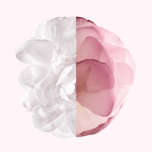 View 2 - IRRESISTIBLE VERY FLORAL - Un'Assoluta di Rosa illuminata da un bouquet di solari fiori bianchi. GIVENCHY - 80 ML - P000180